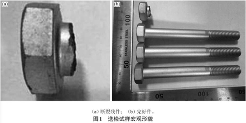 圖1 送檢試驗宏觀形貌.jpg