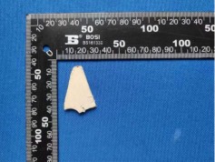 聚醚酰亞胺塑料成分分析