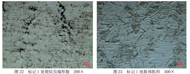 304不鏽鋼三通管失效分析