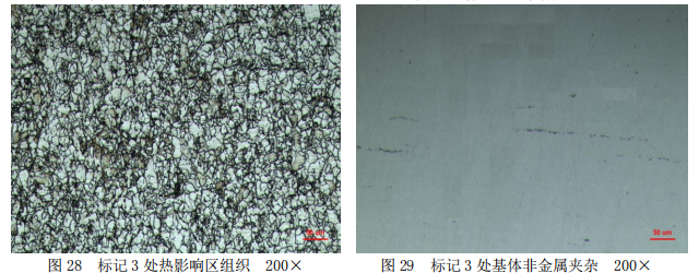 304不鏽鋼三通管失效分析
